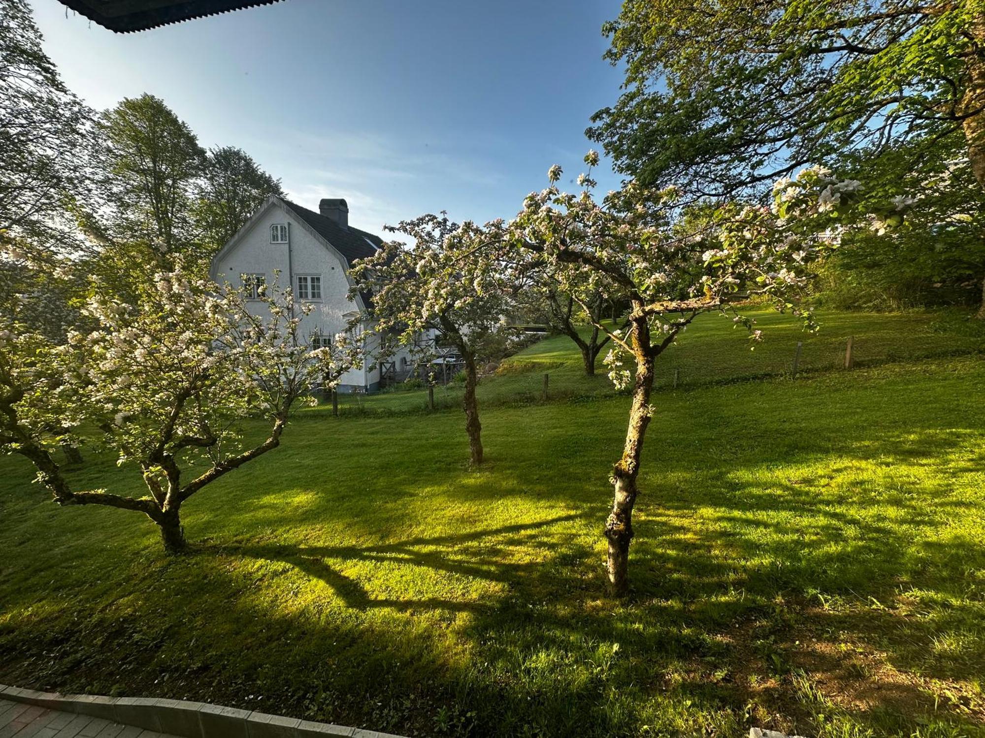 Luxury 2 Rooms Residence At The Heart Of Boras Borås Exterior foto